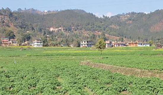 Senior journalist Gautam awarded