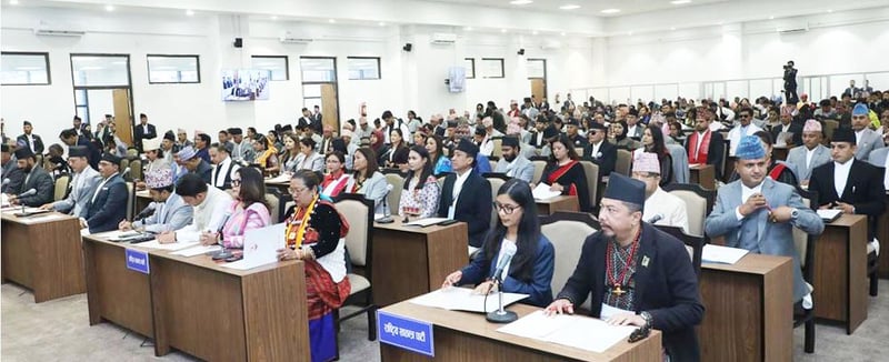 Raising new generation's voices for change is common agenda of youth MPs