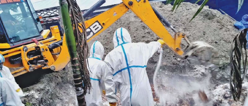 Massive bird flu hits three Koshi districts