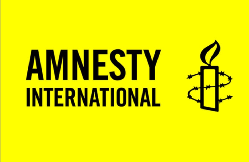 Tanzanian Rights Activist Rescued in Kenya Before Being Smuggled Across Border, Amnesty Says