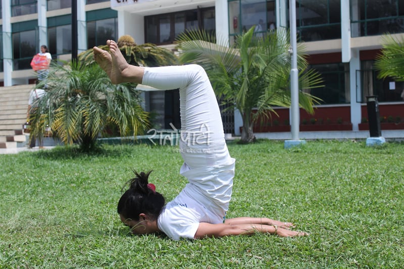 यस वर्ष योग दिवसका कार्यक्रम सप्ताहव्यापी हुने