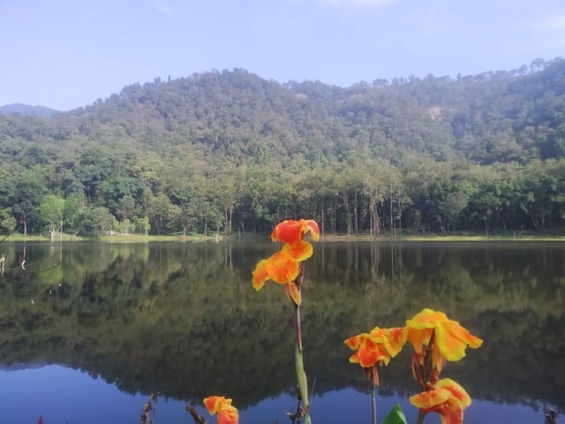 आहा ! आलिताल