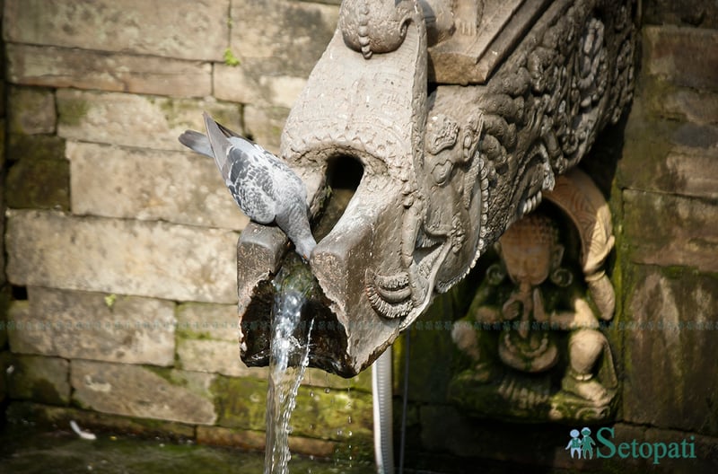 तराईमा बढ्दै तापक्रम, नेपालगन्जमा ४० डिग्री नाघ्यो