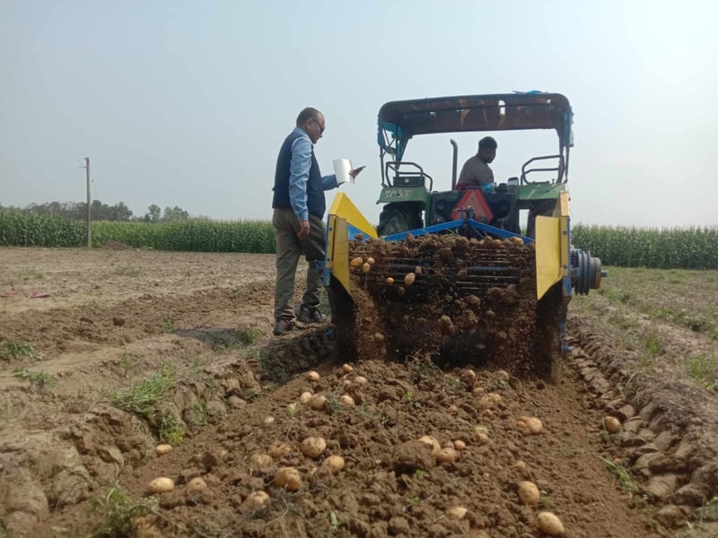 मेसिनको प्रयोगले आम्दानी बढेपछि किसान उत्साहित