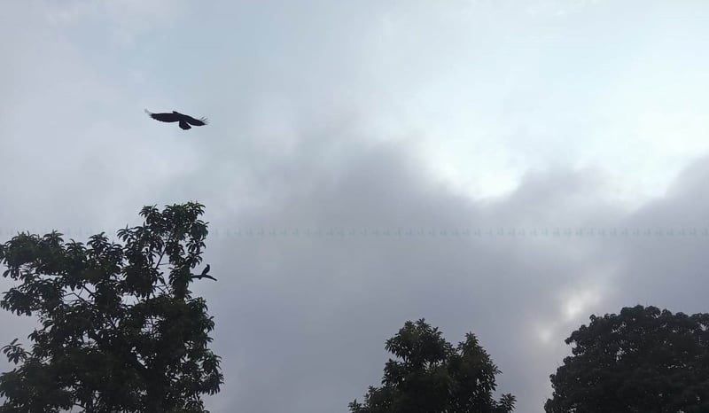 यी स्थानमा आज वर्षाको सम्भावना