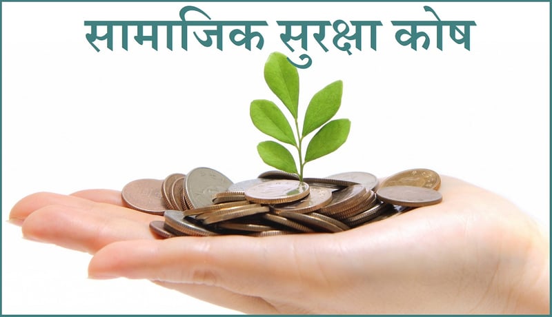 सामाजिक सुरक्षा कोषमा मोबाइलबाटै लिन सकिन्छ ऋण, कसरी लिने?