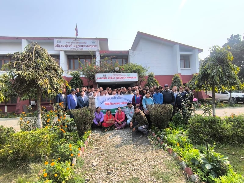उन्नत गहुँ खेतीकाे प्रविधिबारे कृषकलाई तालिम