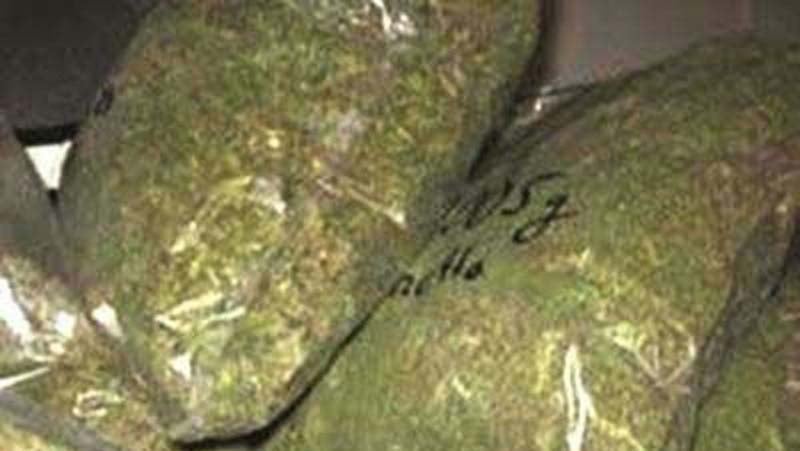 महोत्तरीबाट १०९ किलोग्राम गाँजा प्रहरीको नियन्त्रणमा