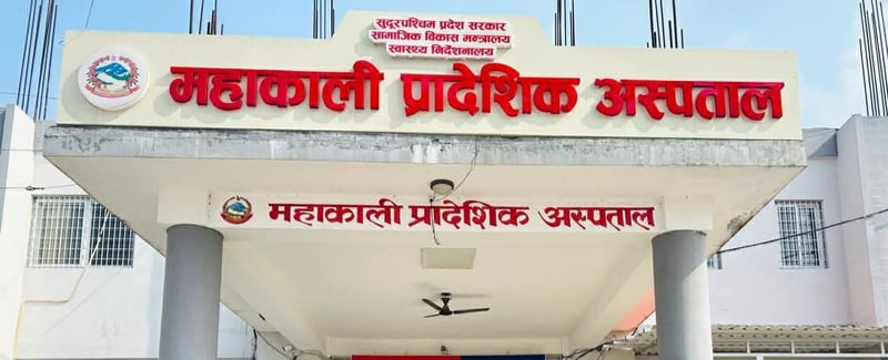 कञ्चनपुरमा कुकुर आतंक, एकैदिन १६ जना घाइते