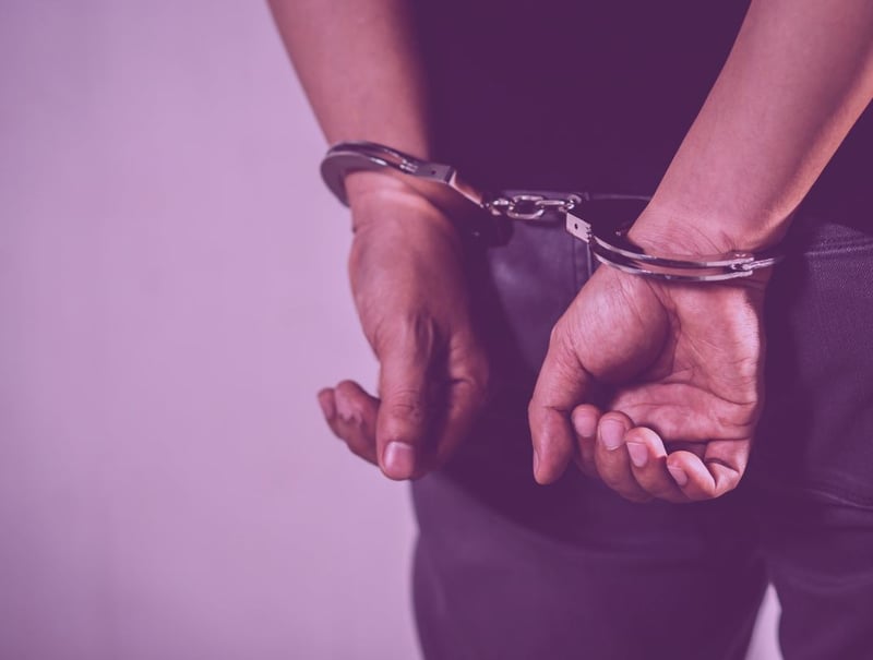 अपराध गरेर विदेश भागेका १० जनालाई इन्टरपोलको समन्वयमा नेपाल ल्याइयो