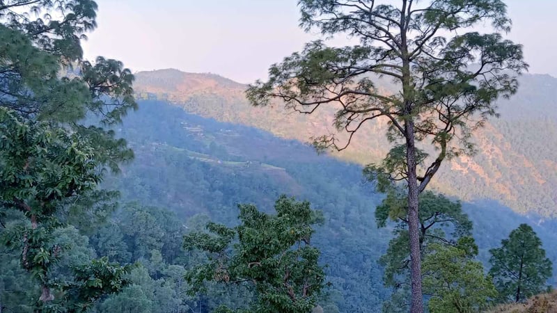 बर्दिया राष्ट्रिय निकुञ्जमा सिकार खेल्न गएका सुर्खेतका ६ जना सम्पर्कविहीन, एक जनाको मृत्यु भएको आंशका