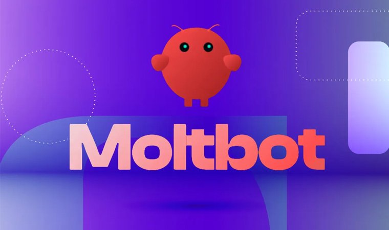 सिलिकन भ्यालीमा रातारात यसरी भाइरल बन्यो एआई एजेन्ट मोल्टबोट