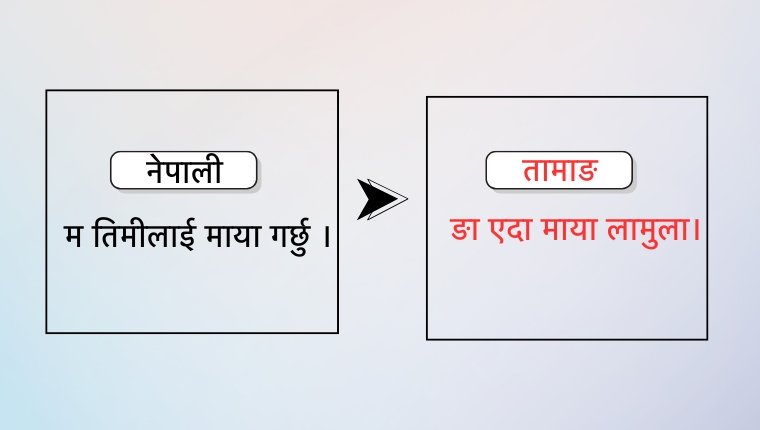 Beta Version Of Google TMT System For Tamang, Nepali, And English Translation Released