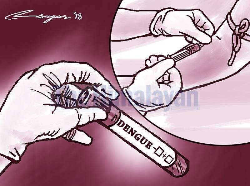 Dengue cases reaches 1,255 across 72 districts so far