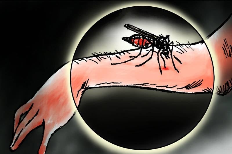 Six malaria cases detected in Chitwan since July