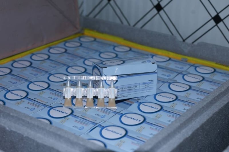 Cholera vaccination coverage reaches 90 per cent in Bara and Parsa