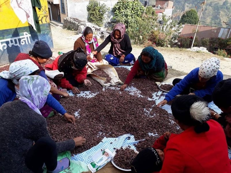 Cardamom tops Kakarbhitta exports in first five months of FY