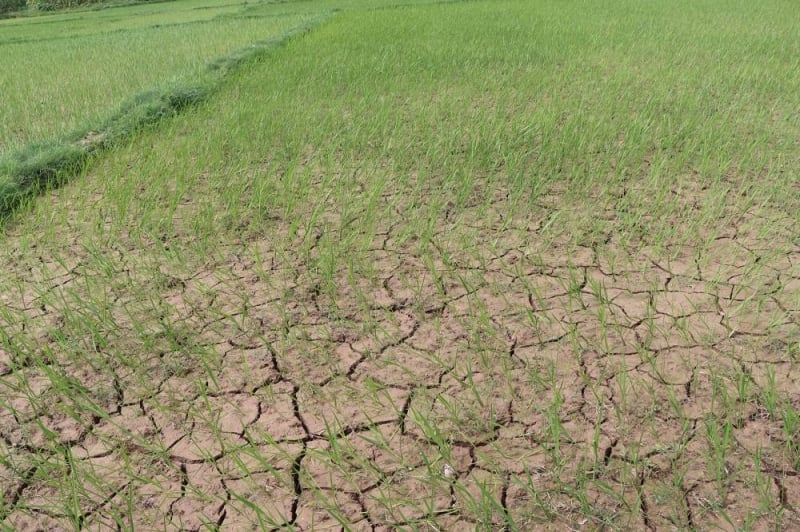 Climate wounds of Madhes: A crisis we chose to ignore