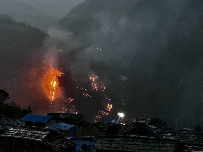 Wildfires damage over 330 hectares of forest in Jumla last fiscal year