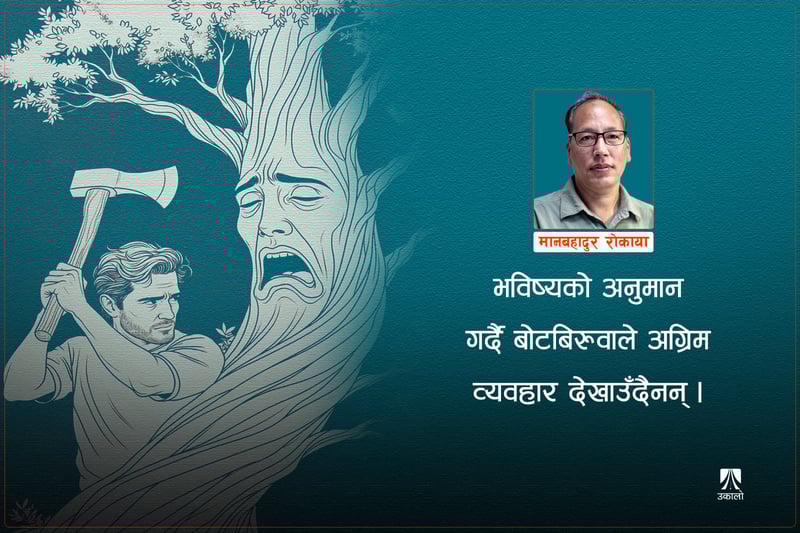 के बोटबिरुवामा चेतना हुन्छ?