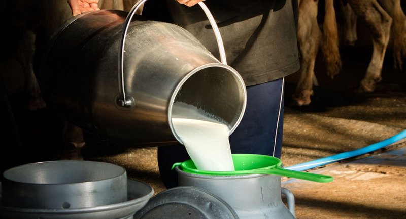 ६ महिनादेखि रोकियो चितवनका ४० हजार दूध किसानको ५५ करोड भुक्तानी