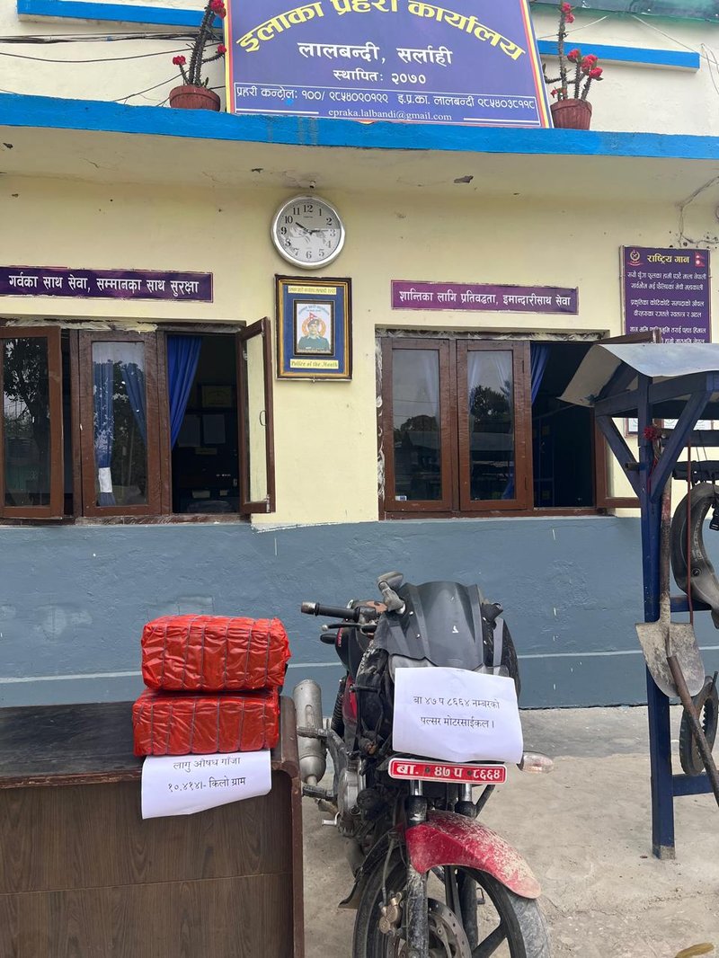 सर्लाहीमा दश किलो गाँजासहित एक युवक पक्राउ