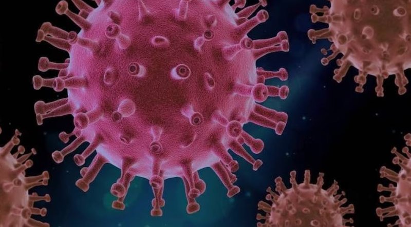 भारतको पश्चिम बङ्गालमा निपाह सङ्क्रमित दुई जनाको सम्पर्कमा गएका सबैमा सङ्क्रमण देखिएन