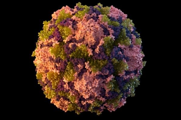 पोलियोका शङ्कास्पद बिरामी खोजी गर्नेमा नेपाल उत्कृष्ट बन्न सफल